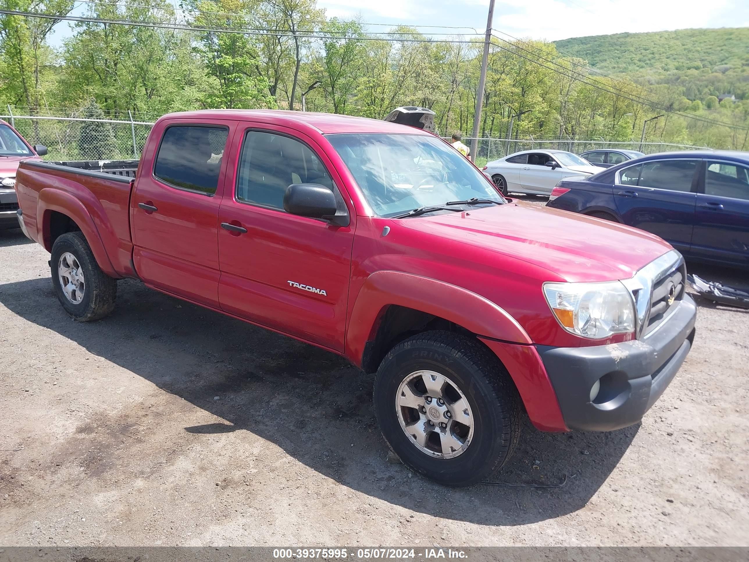 TOYOTA TACOMA 2006 5temu52n86z188058