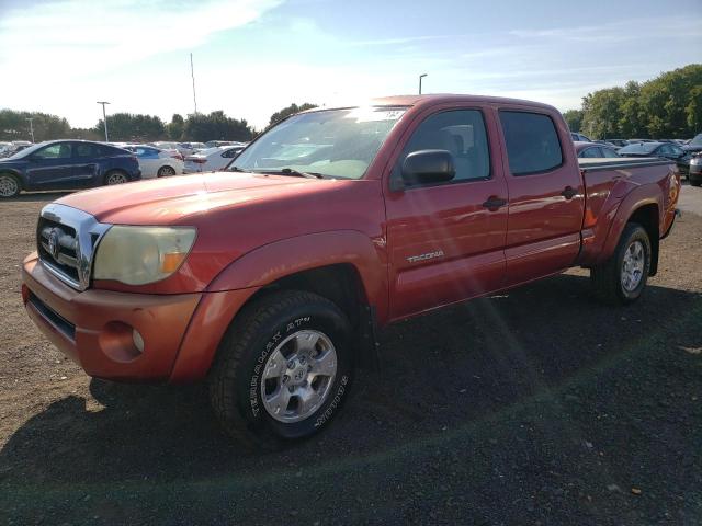 TOYOTA TACOMA DOU 2006 5temu52n86z320252