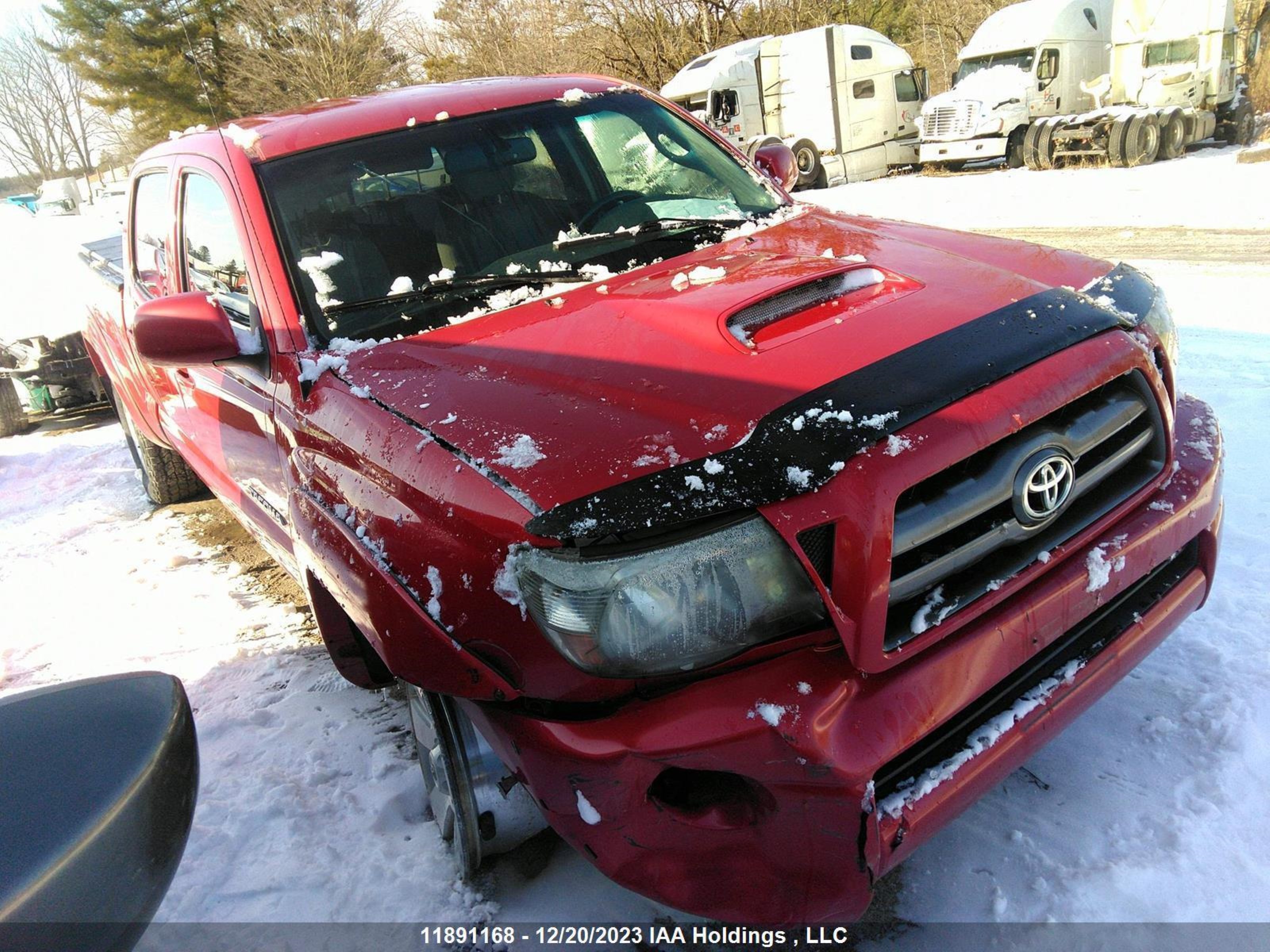 TOYOTA TACOMA 2009 5temu52n99z662006