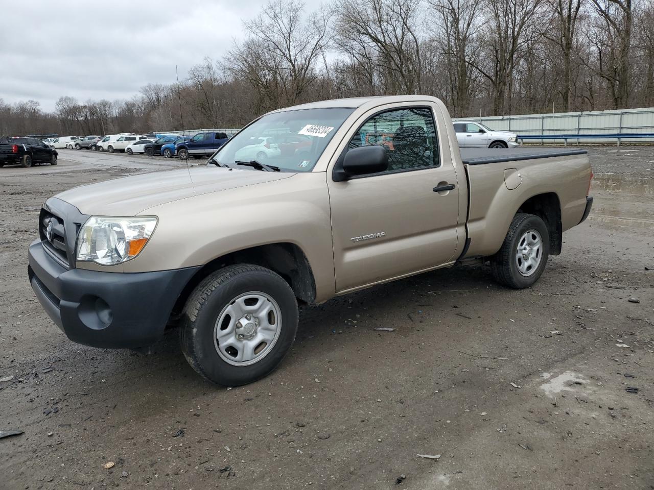 TOYOTA TACOMA 2006 5tenx22n16z258526