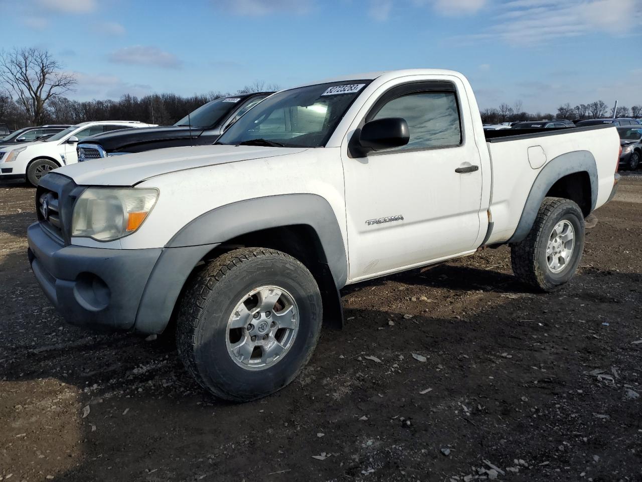 TOYOTA TACOMA 2006 5tepx42n06z174489