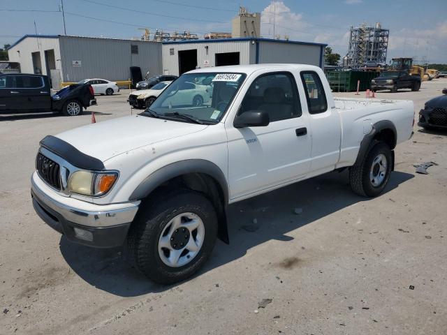 TOYOTA TACOMA XTR 2003 5tesm92n13z158152