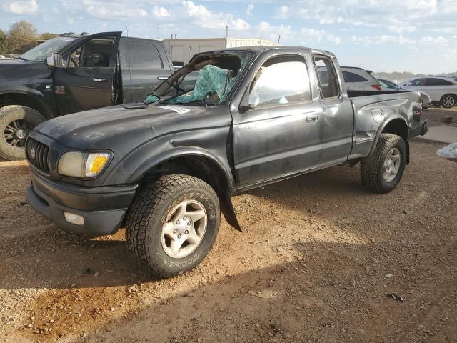 TOYOTA TACOMA 2002 5tesn92n92z137027