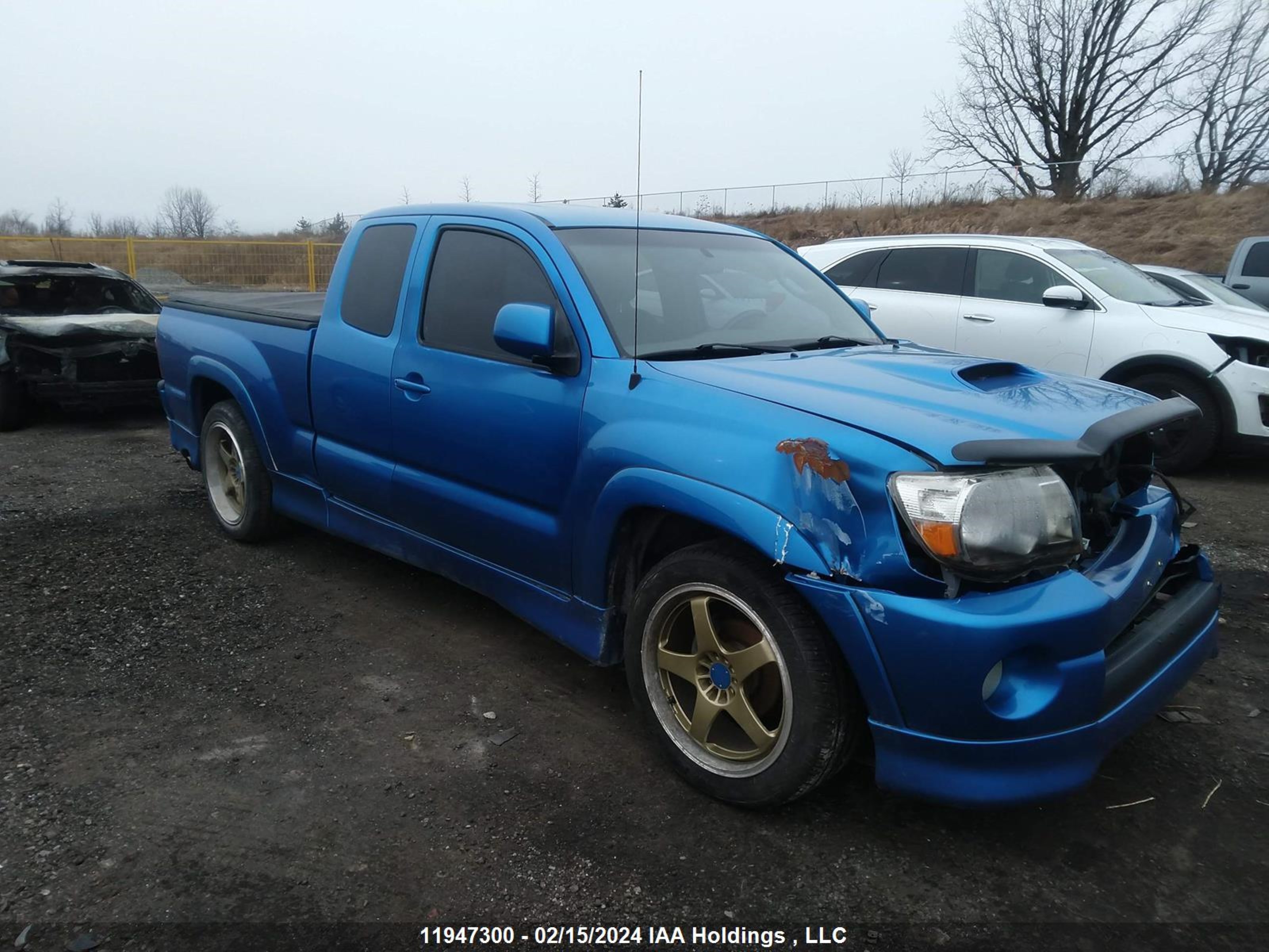 TOYOTA TACOMA 2006 5tetu22n96z204360