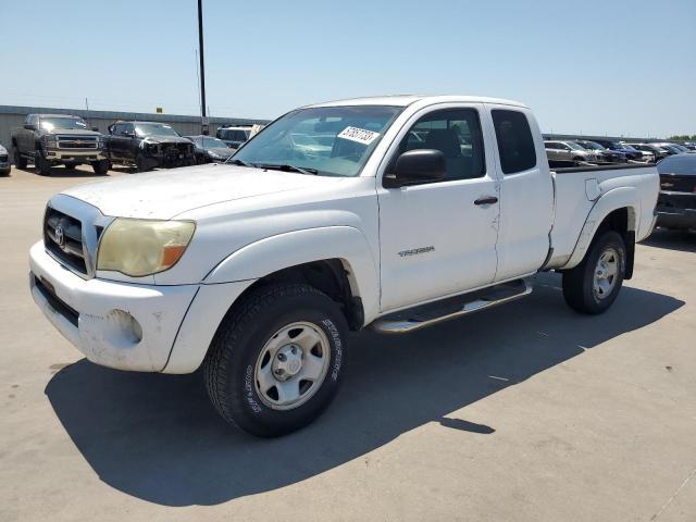 TOYOTA TACOMA 2006 5tetu62n06z248609