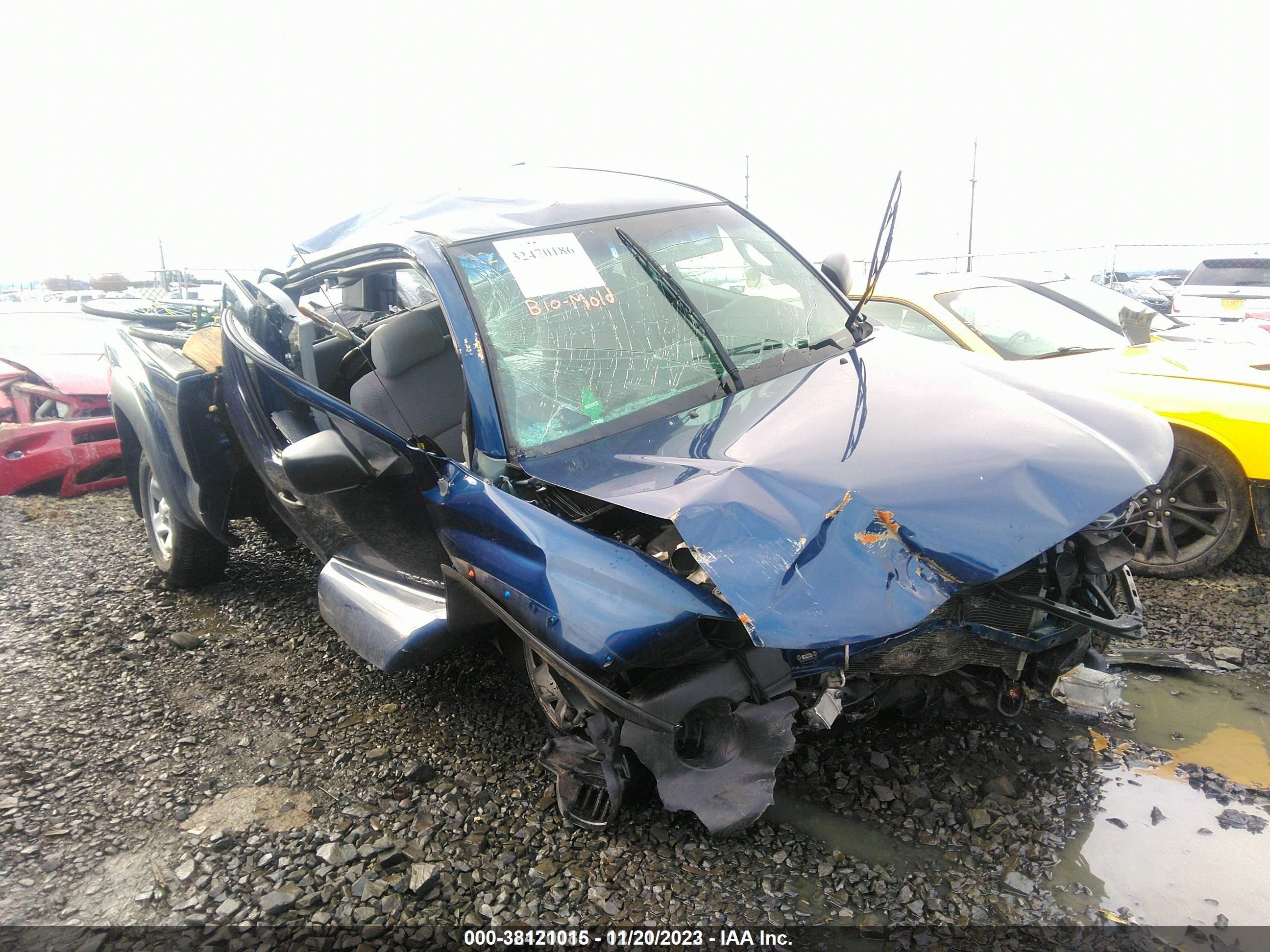 TOYOTA TACOMA 2008 5tetu62n08z494837