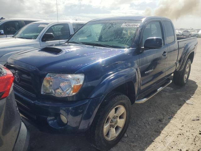 TOYOTA TACOMA PRE 2005 5tetu62n25z104946