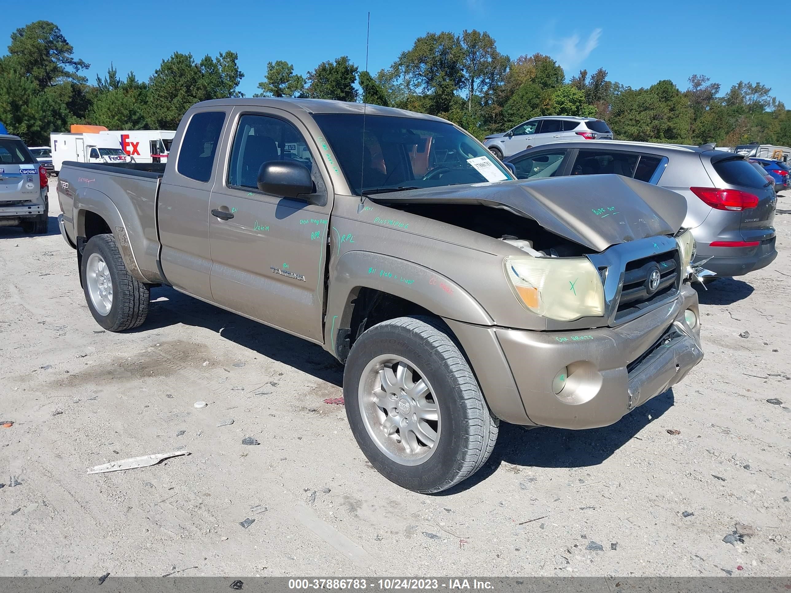 TOYOTA TACOMA 2006 5tetu62n36z281054