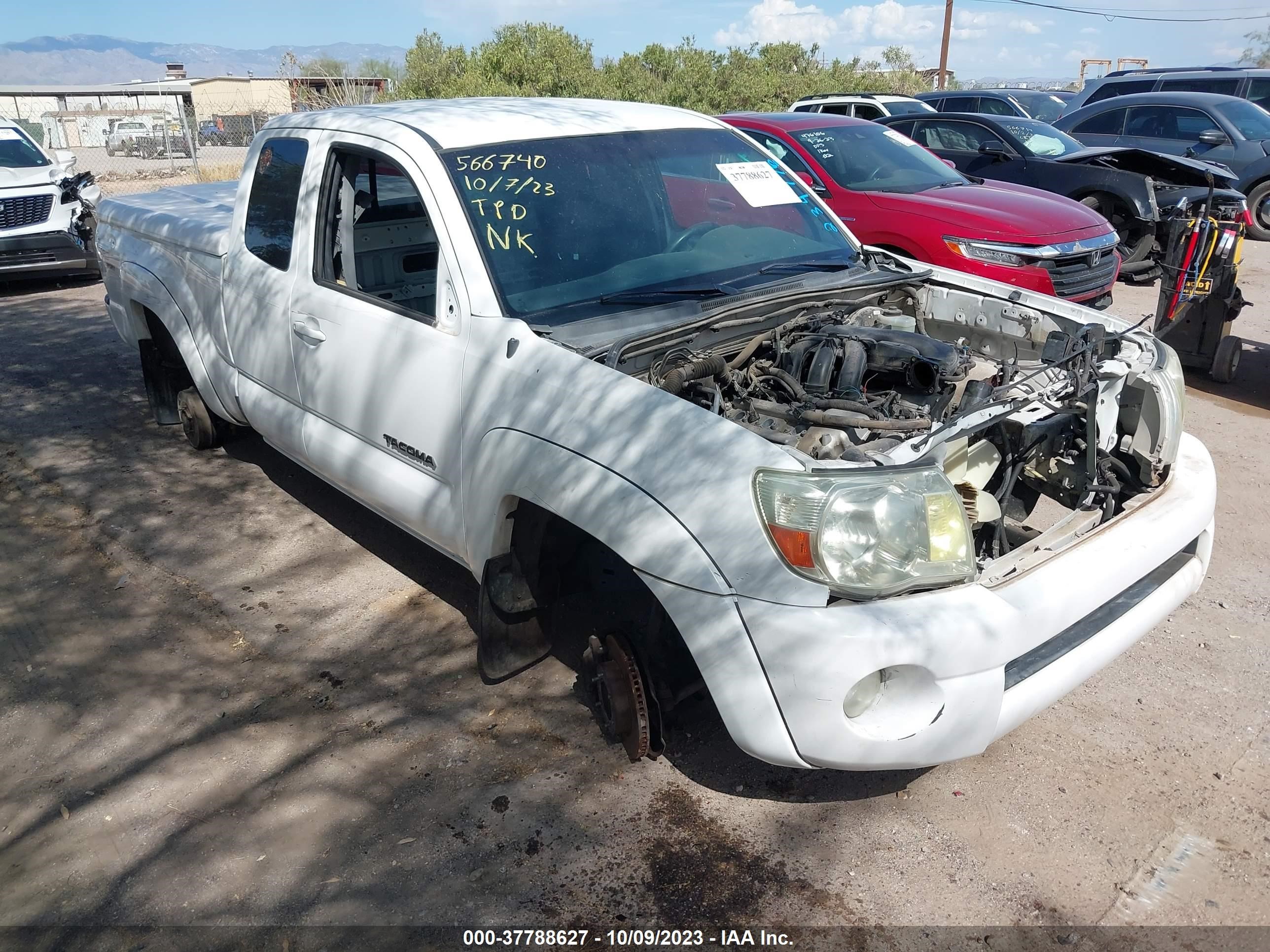 TOYOTA TACOMA 2006 5tetu62n46z234776