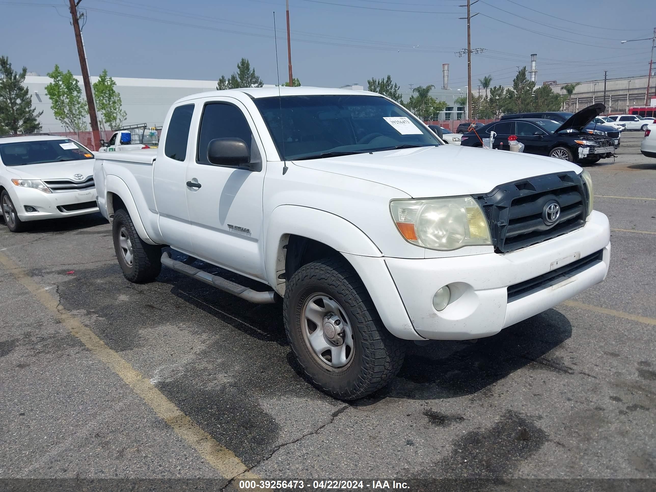 TOYOTA TACOMA 2005 5tetu62n55z048288