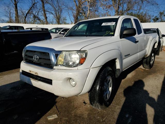 TOYOTA TACOMA 2006 5tetu62n56z205724