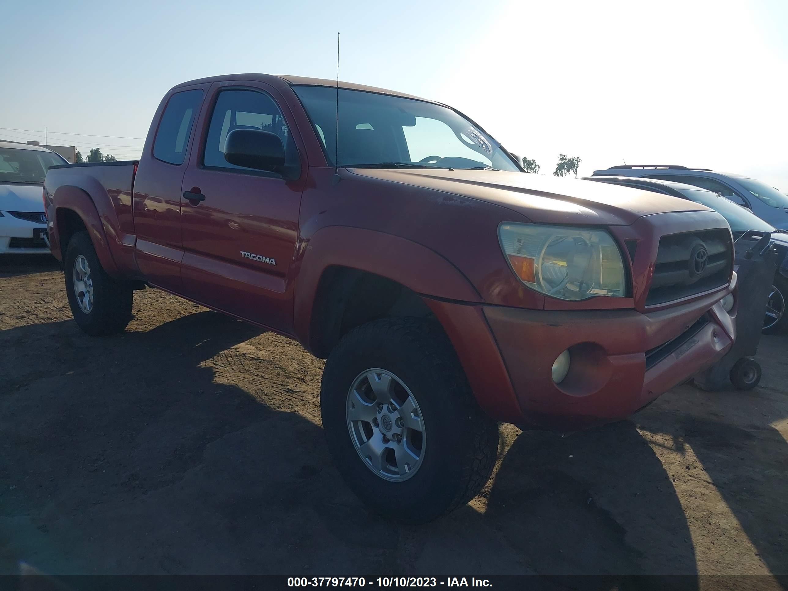 TOYOTA TACOMA 2006 5tetu62n66z231443