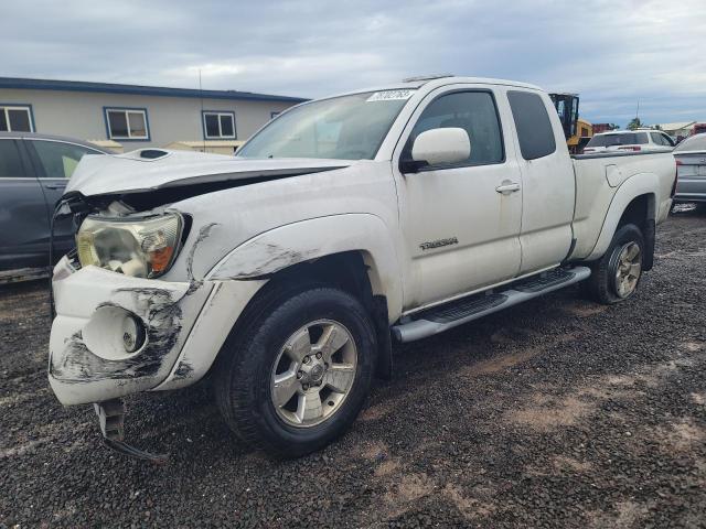 TOYOTA TACOMA 2007 5tetu62n67z329504