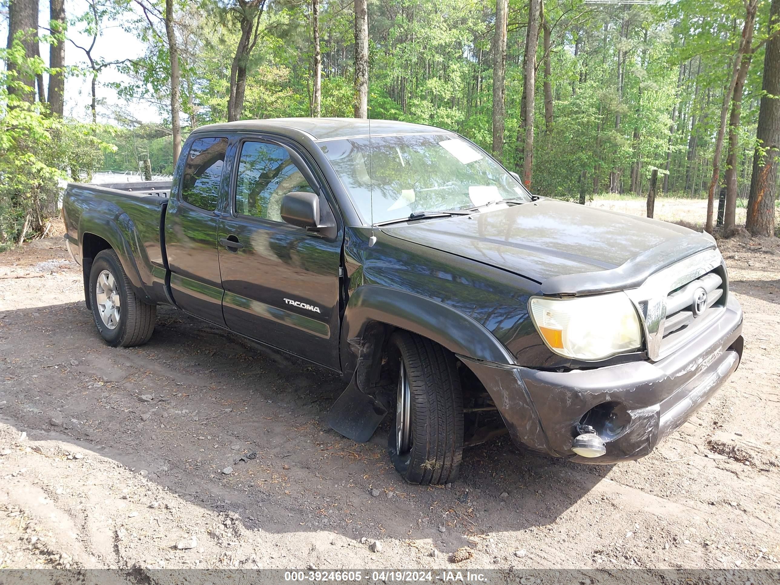 TOYOTA TACOMA 2007 5tetu62n87z461017