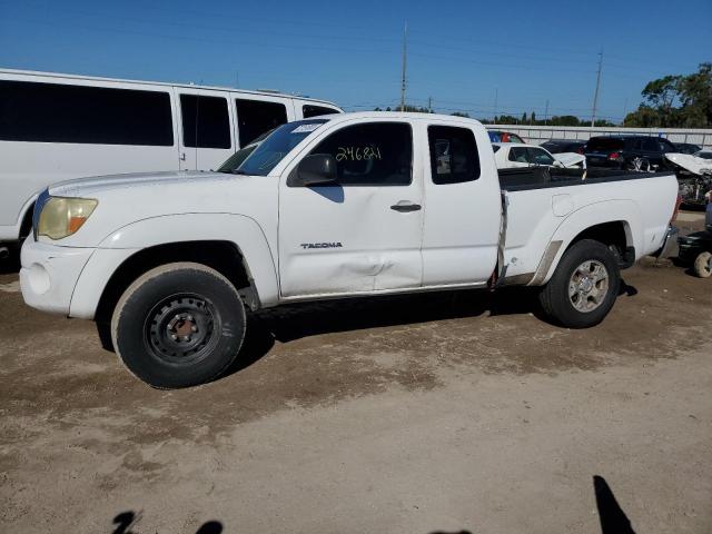 TOYOTA TACOMA 2006 5tetu62nx6z163759