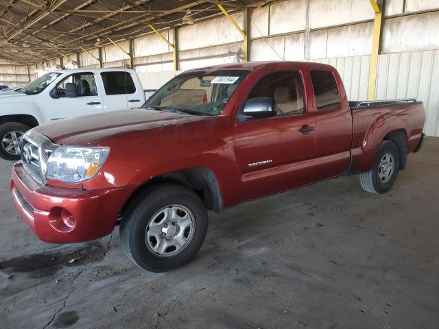 TOYOTA TACOMA ACC 2006 5tetx22n36z316837