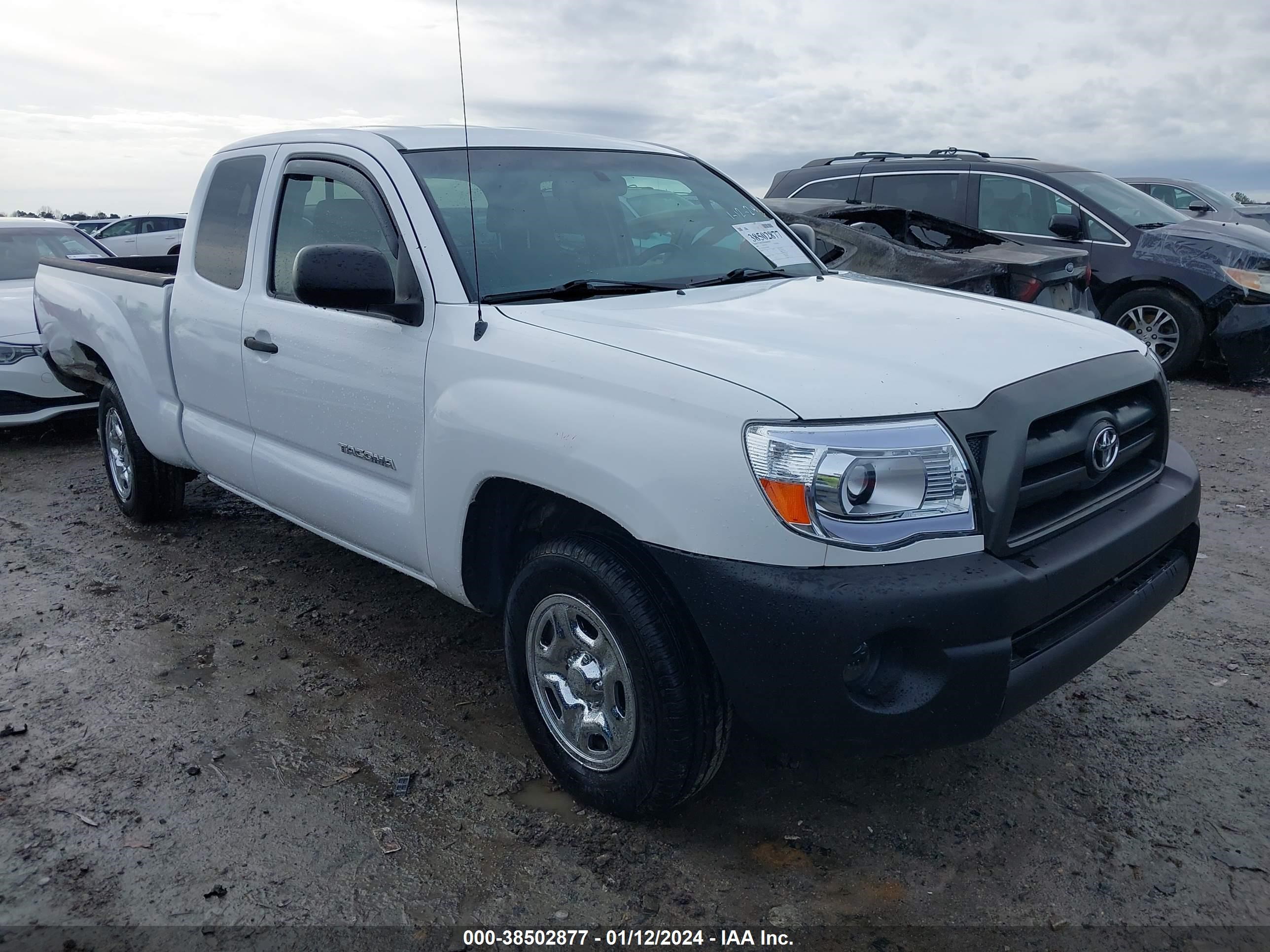 TOYOTA TACOMA 2005 5tetx22n45z090824