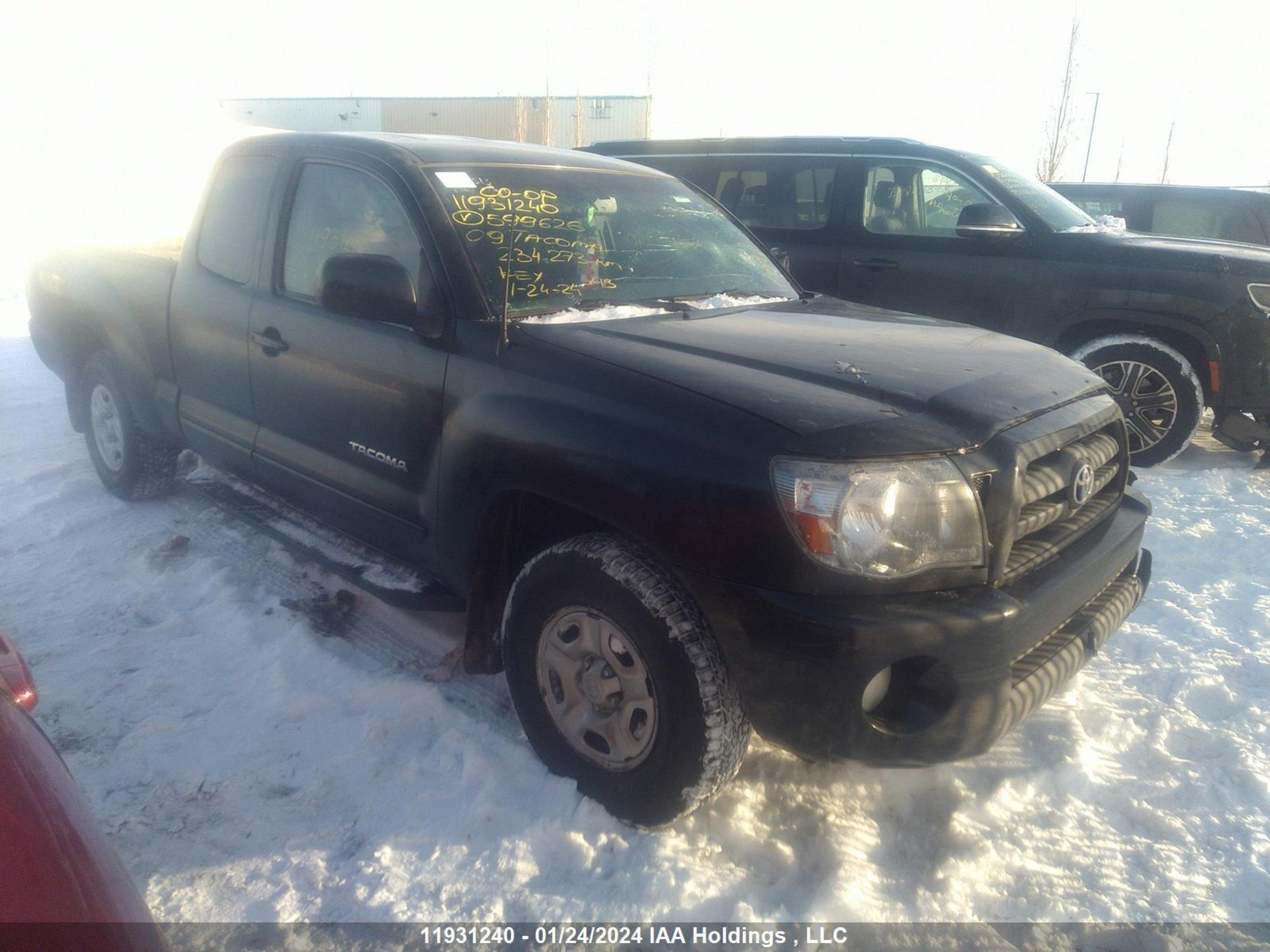 TOYOTA TACOMA 2009 5tetx22n69z599626