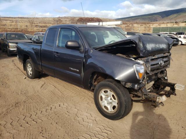 TOYOTA TACOMA ACC 2010 5tetx4cn6az725210