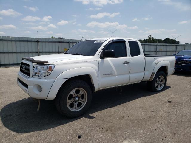 TOYOTA TACOMA PRE 2005 5tetx62n55z109470