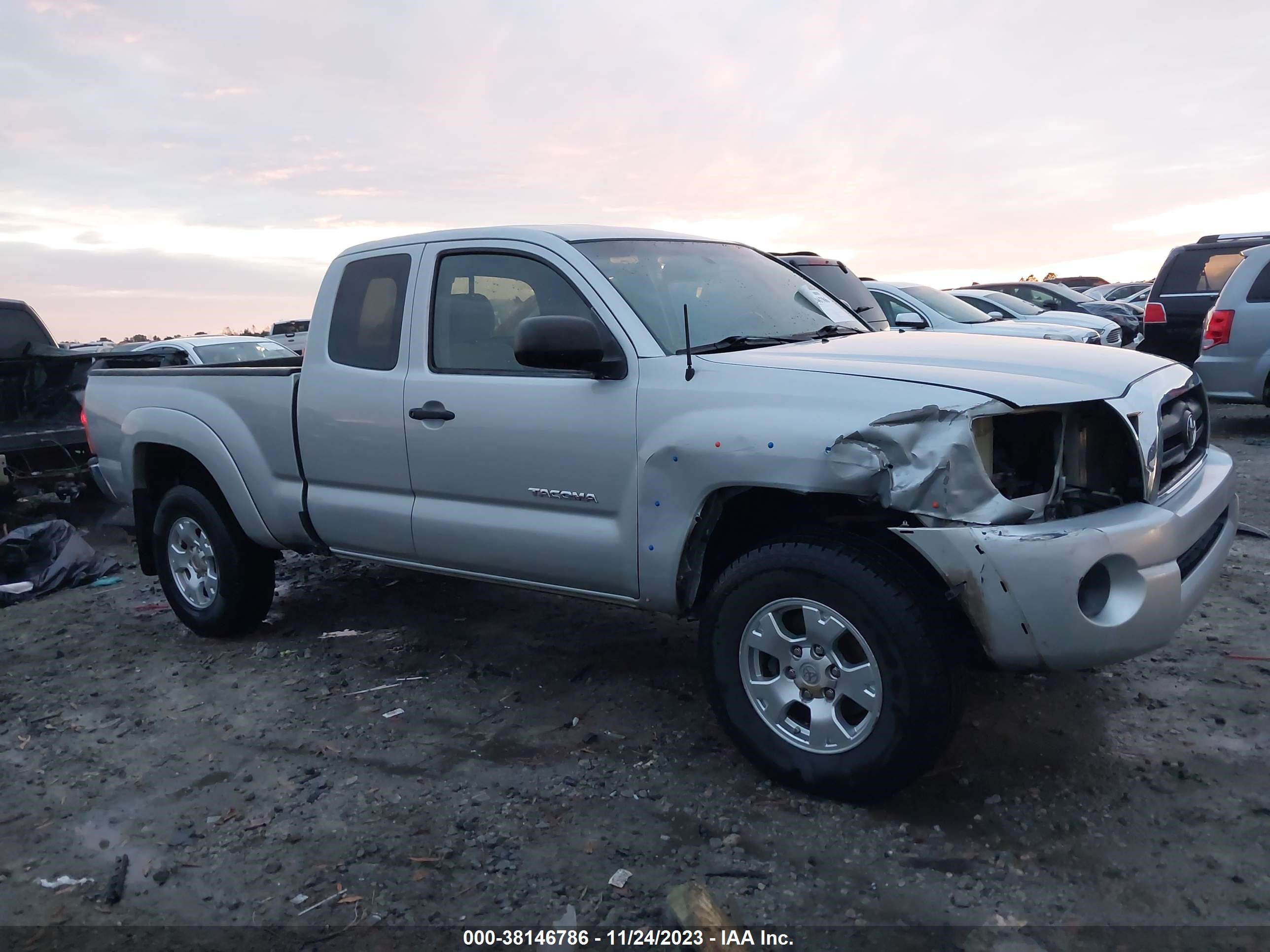 TOYOTA TACOMA 2006 5tetx62n86z303718