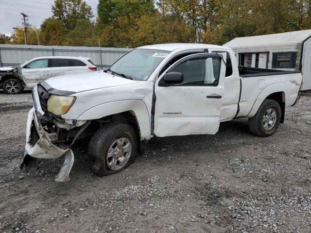 TOYOTA TACOMA 2006 5teuu42n06z260736