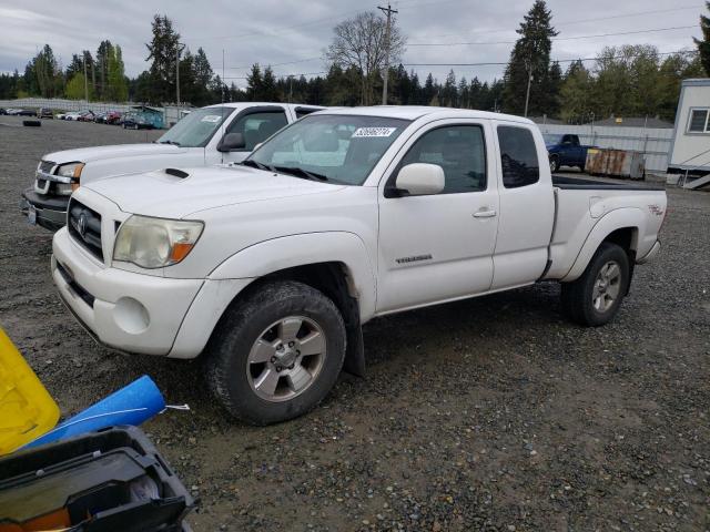 TOYOTA TACOMA 2008 5teuu42n08z538456