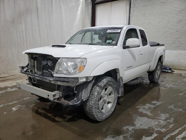 TOYOTA TACOMA 2007 5teuu42n27z414574