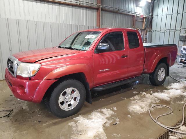 TOYOTA TACOMA ACC 2008 5teuu42n48z475216