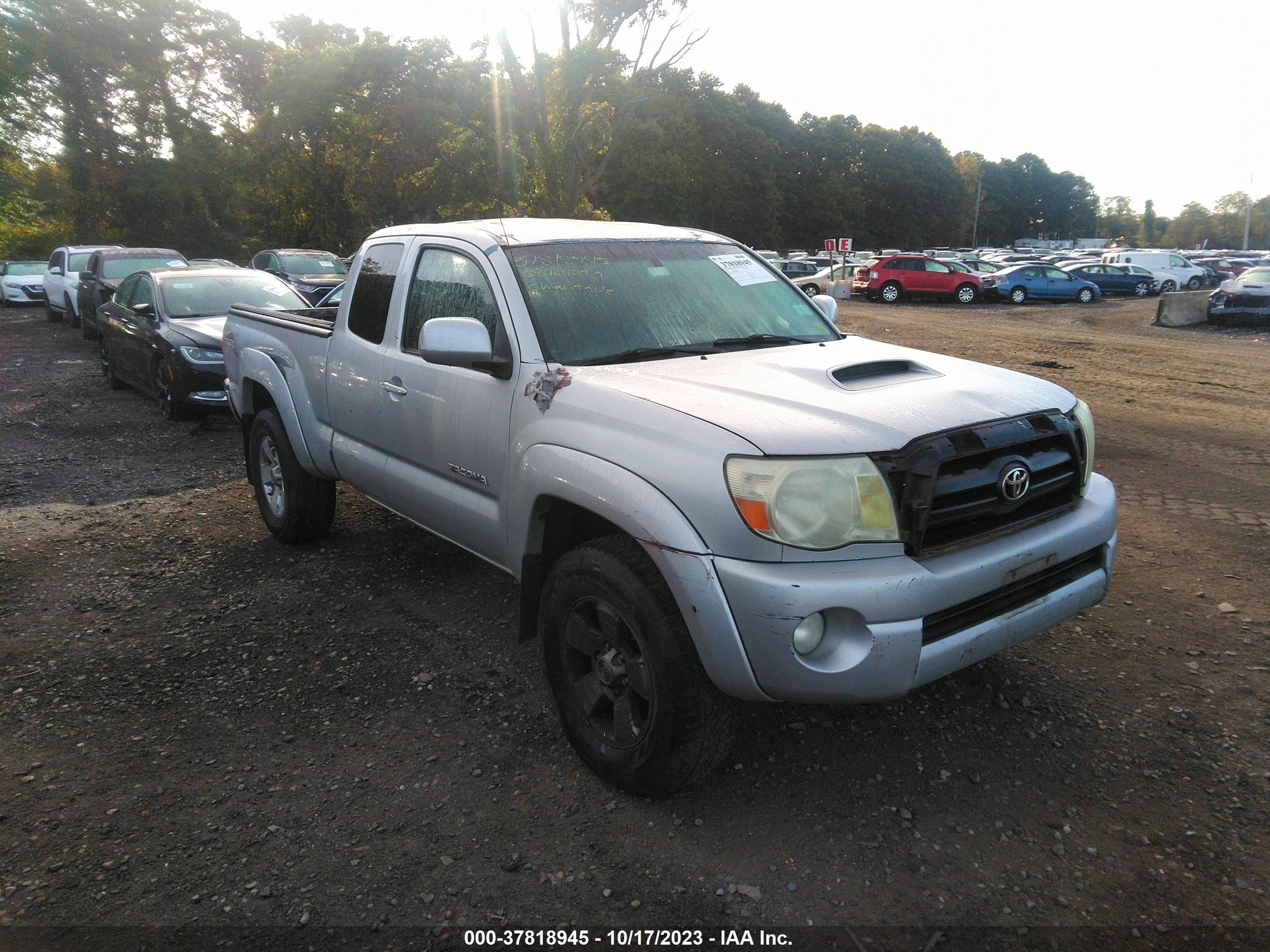 TOYOTA TACOMA 2008 5teuu42n48z555440