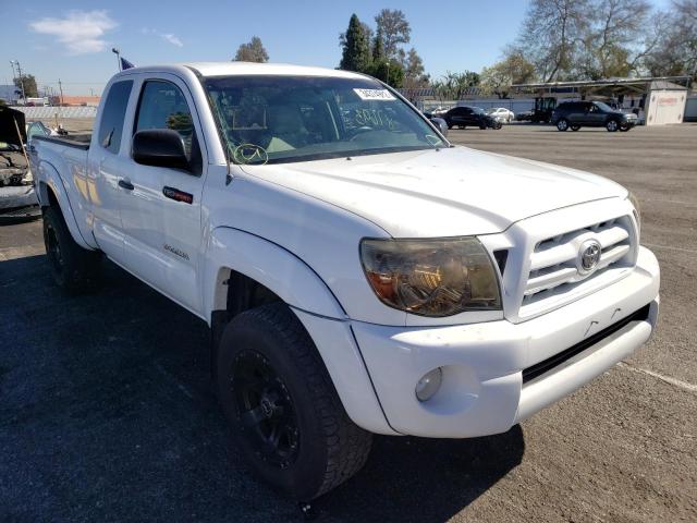 TOYOTA TACOMA ACC 2006 5teuu42n56z159434