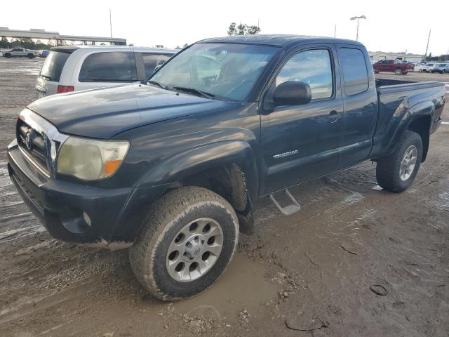 TOYOTA TACOMA ACC 2006 5teuu42n56z197729