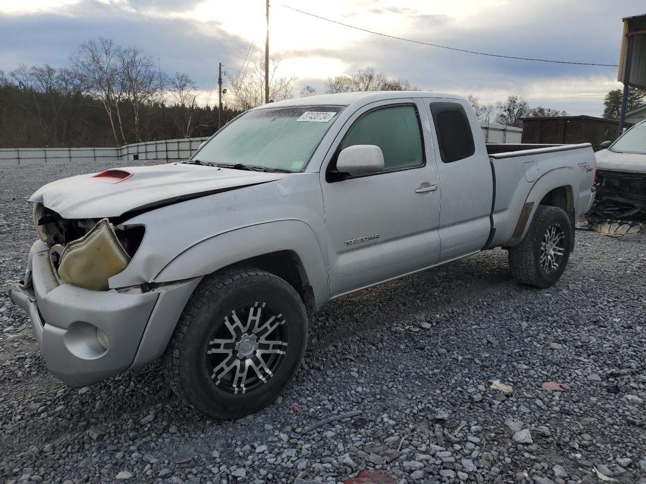 TOYOTA TACOMA 2006 5teuu42n56z244399