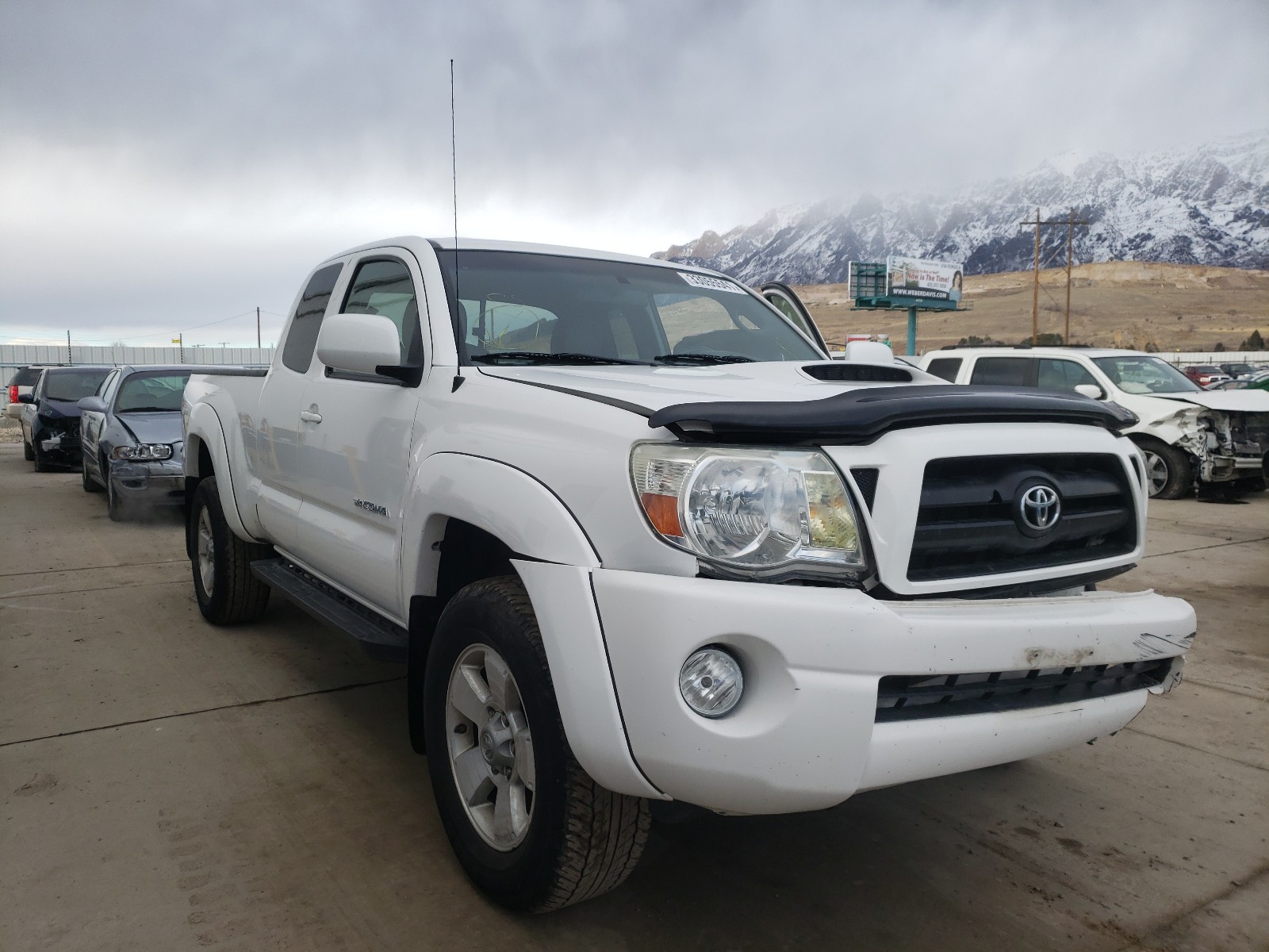 TOYOTA TACOMA ACC 2008 5teuu42n58z480568