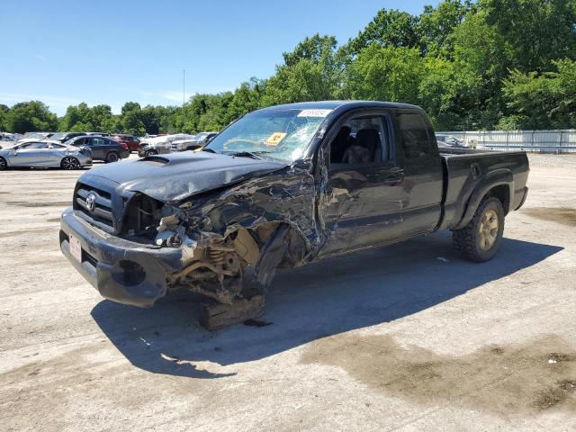 TOYOTA TACOMA ACC 2006 5teuu42n66z145882