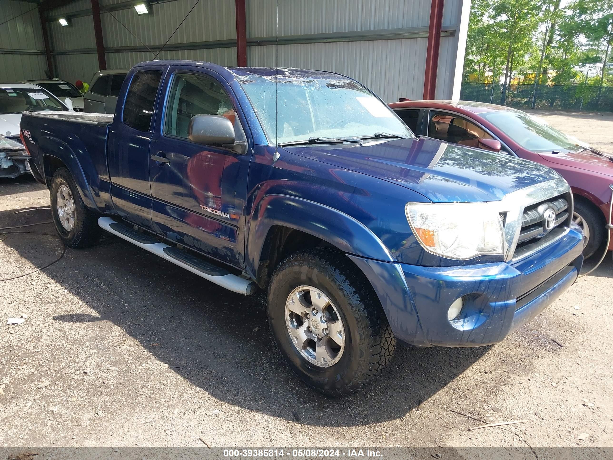 TOYOTA TACOMA 2006 5teuu42n66z198257