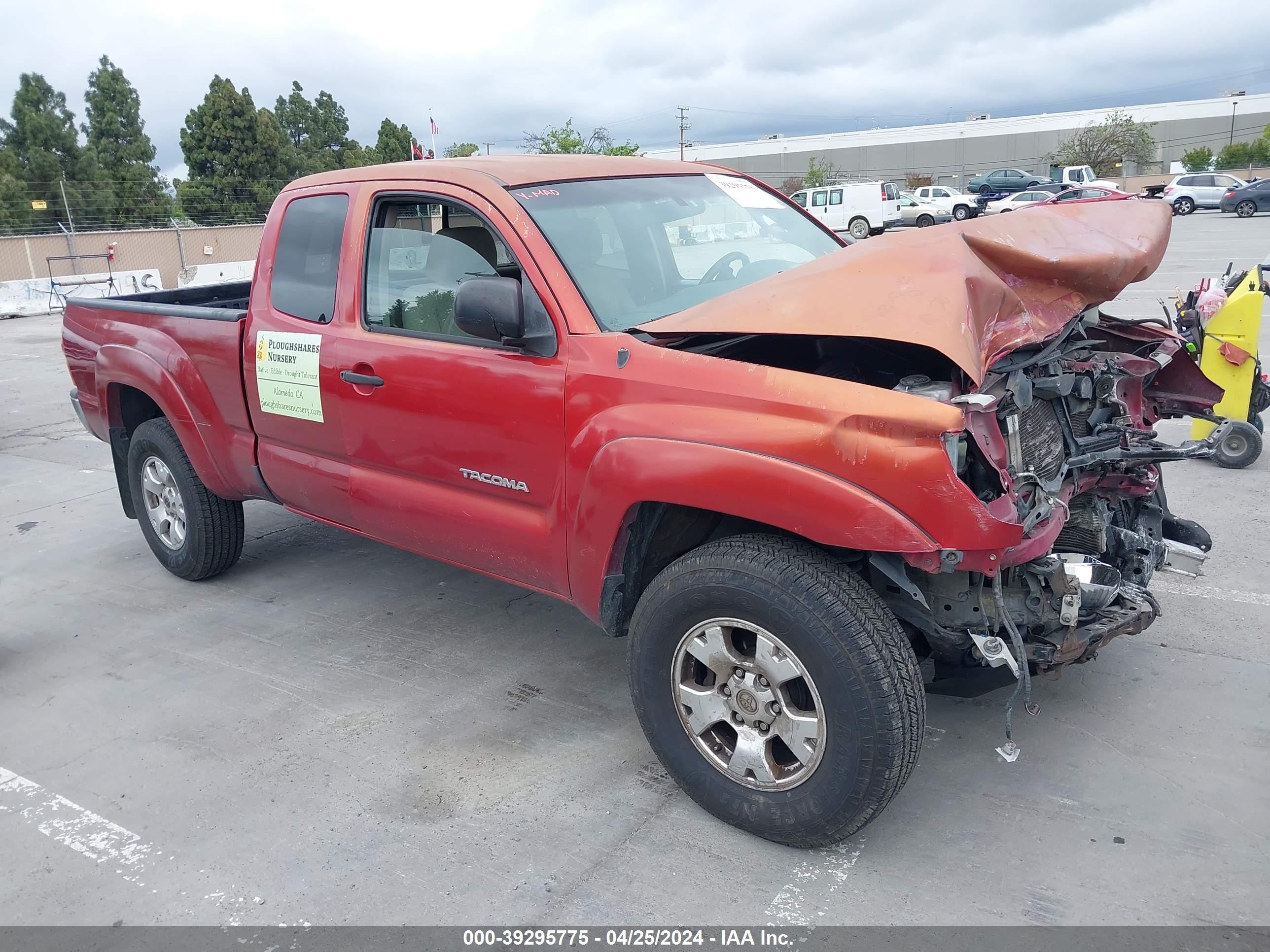 TOYOTA TACOMA 2006 5teuu42n66z233976