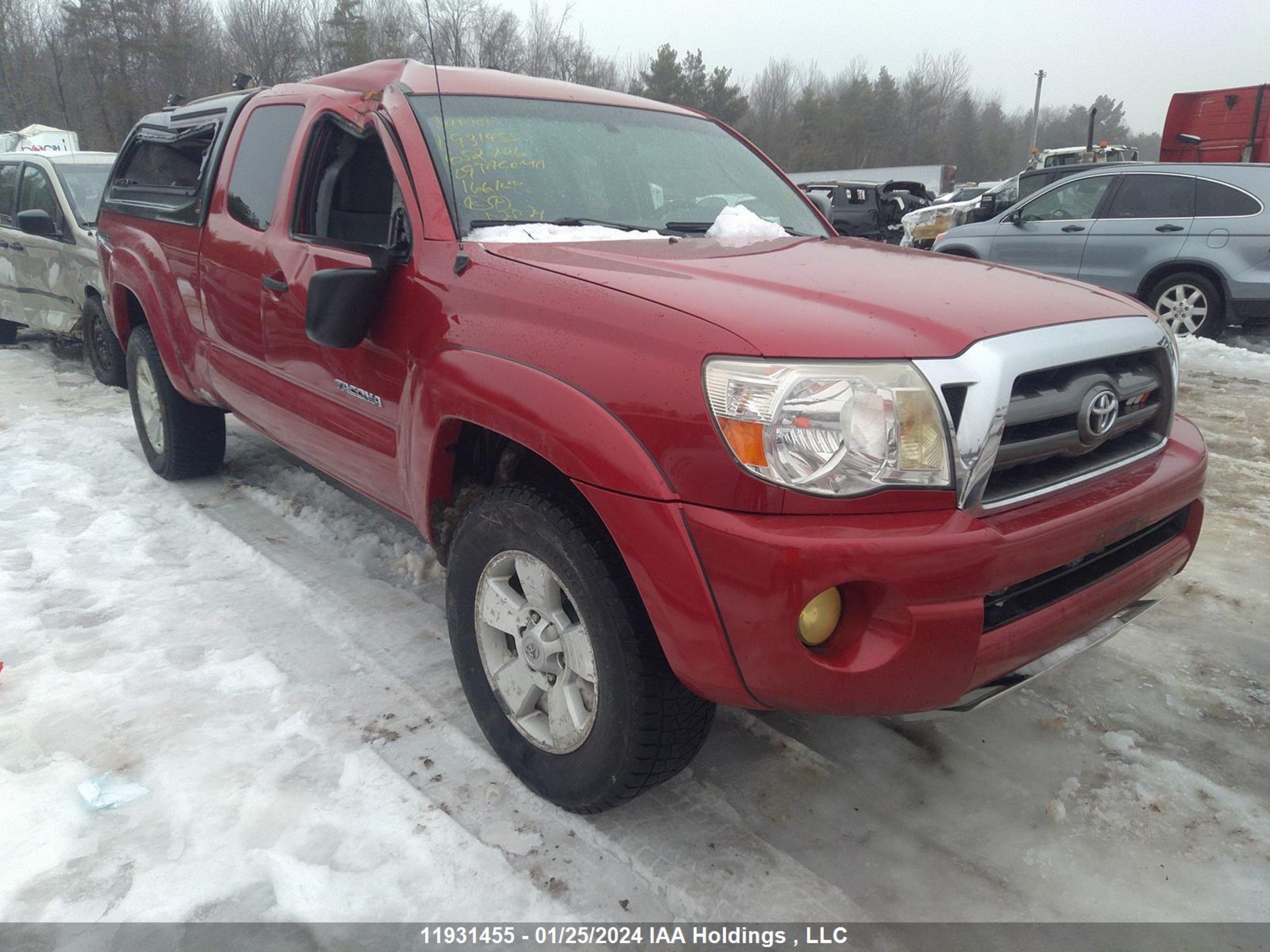 TOYOTA TACOMA 2009 5teuu42n69z652706