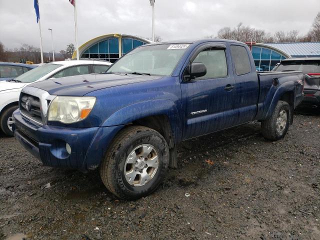 TOYOTA TACOMA ACC 2005 5teuu42n75z105941