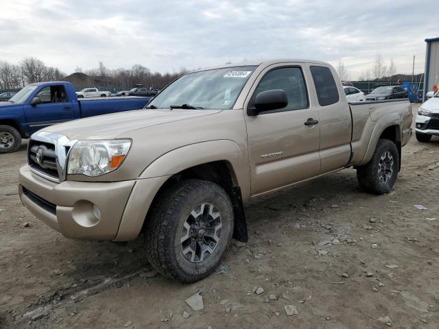 TOYOTA TACOMA 2006 5teuu42n76z243013