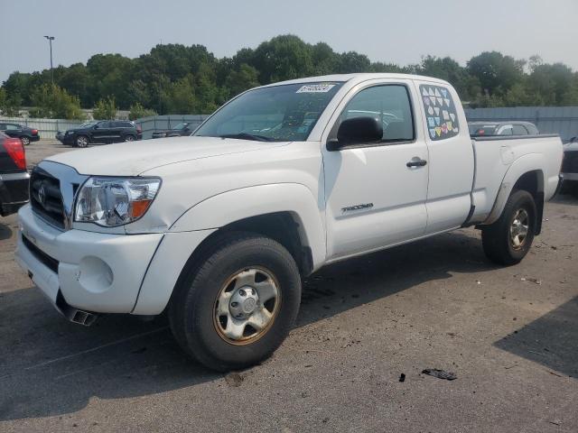 TOYOTA TACOMA ACC 2008 5teuu42n78z480569