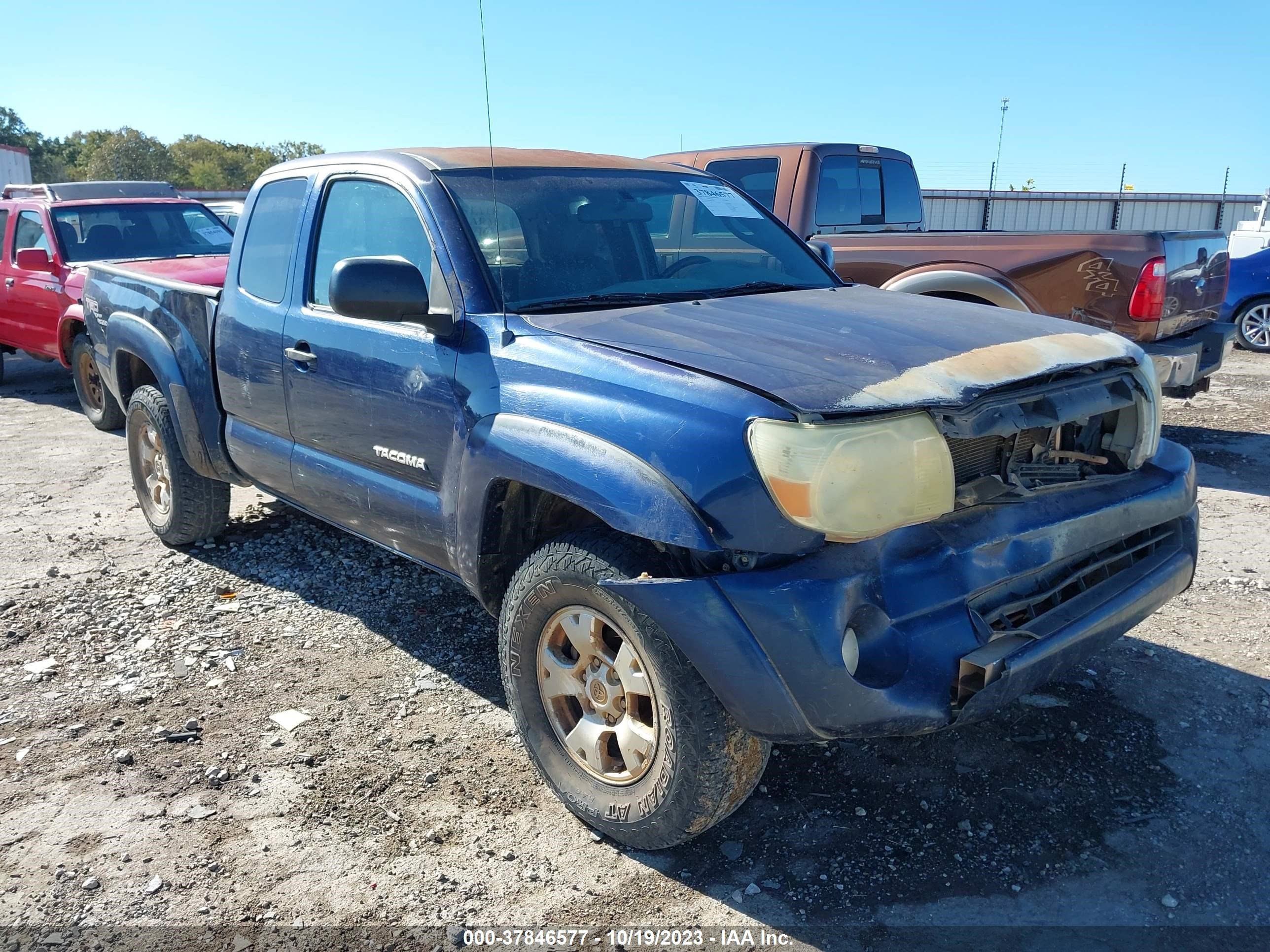 TOYOTA TACOMA 2006 5teuu42n86z276442