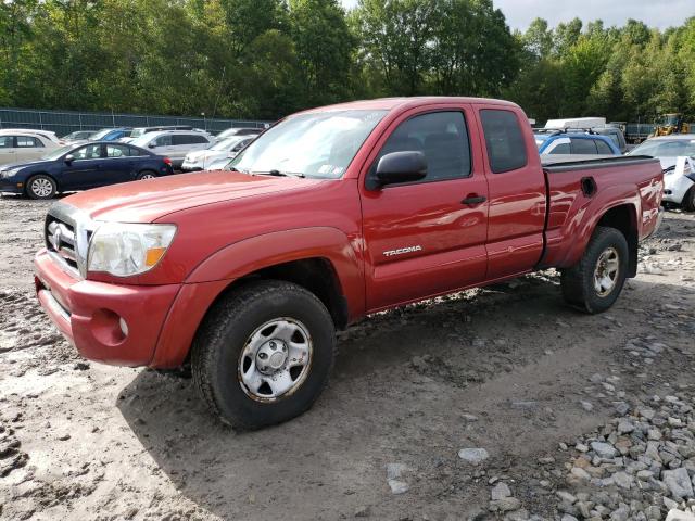 TOYOTA TACOMA ACC 2007 5teuu42n87z467361