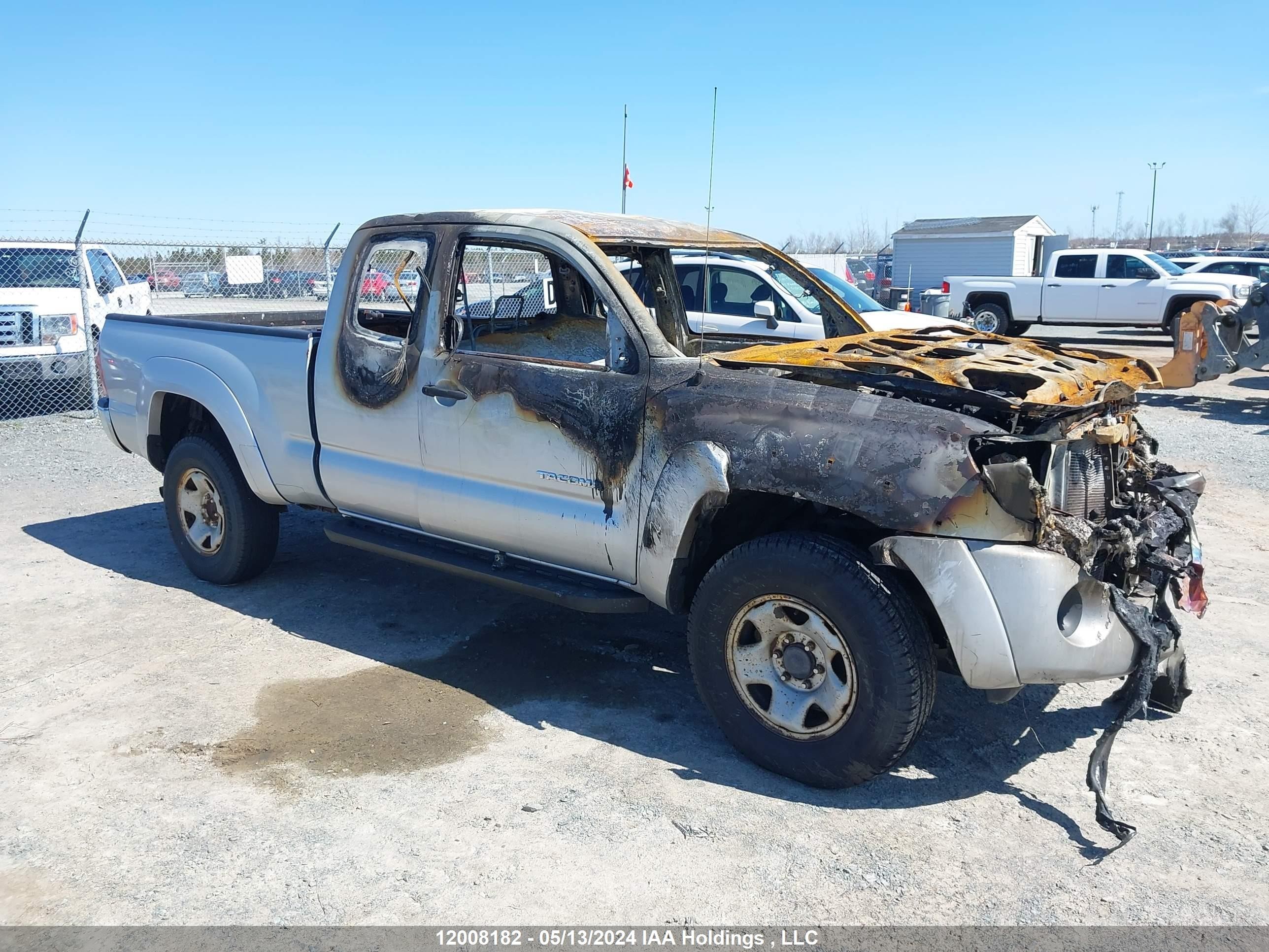 TOYOTA TACOMA 2005 5teuu42n95z119615