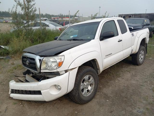 TOYOTA TACOMA SR5 2007 5teuu42n97z382416