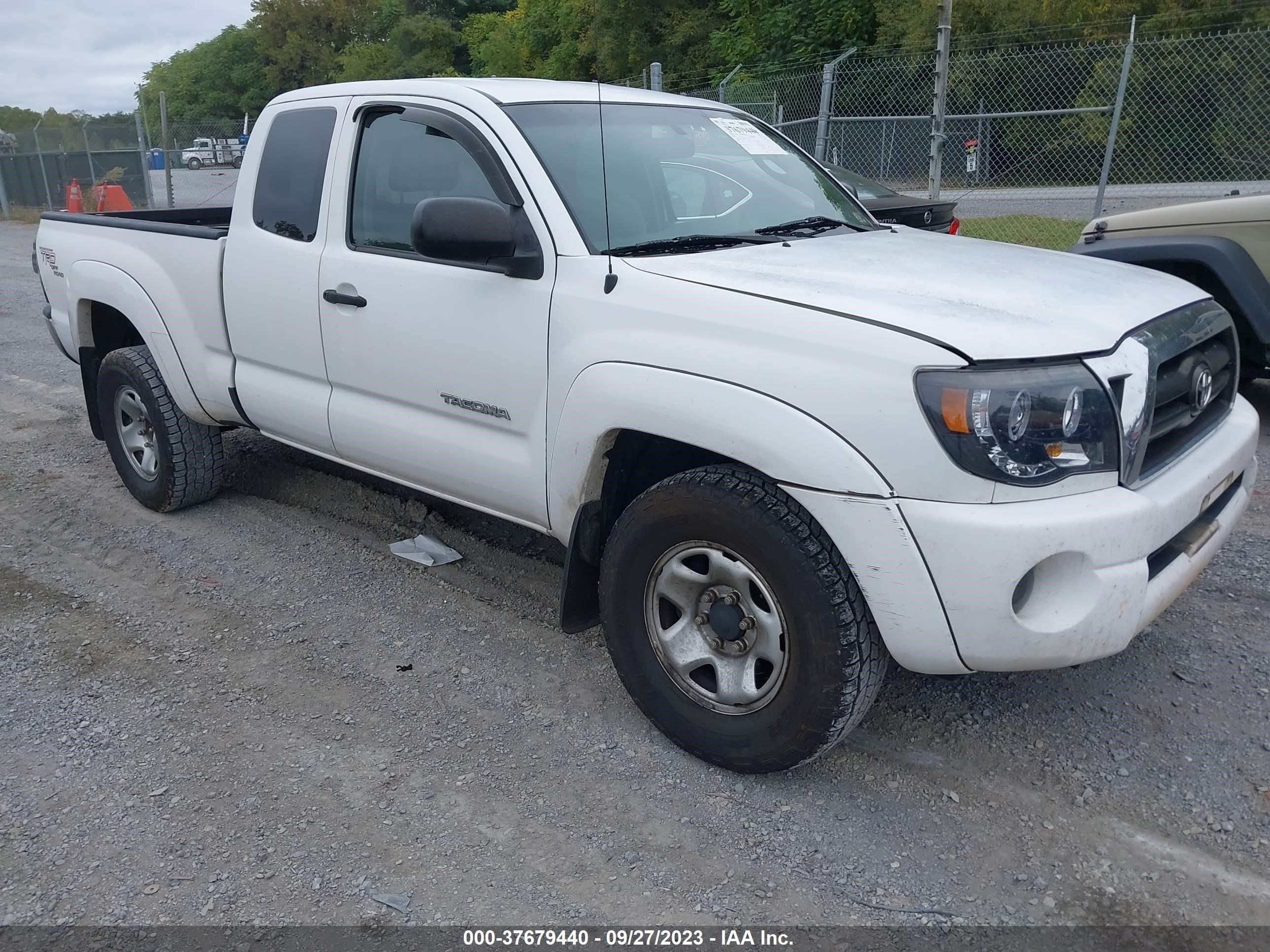 TOYOTA TACOMA 2007 5teuu42n97z412966