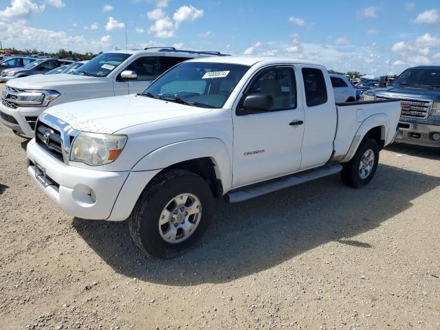 TOYOTA TACOMA ACC 2006 5teuu42nx6z224391