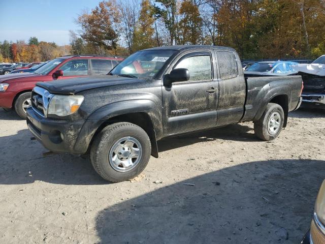 TOYOTA TACOMA ACC 2006 5teuu42nx6z228733