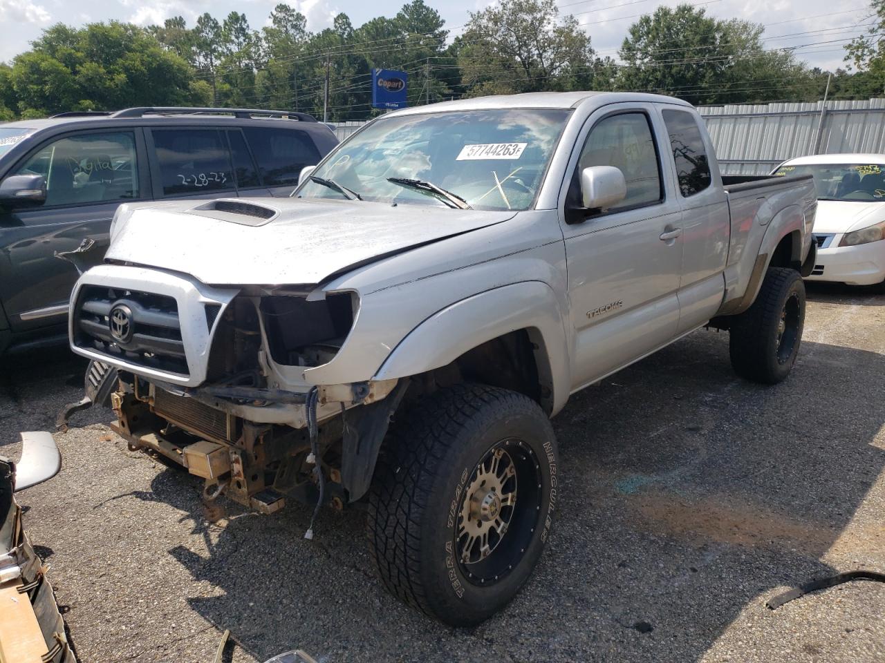 TOYOTA TACOMA 2006 5teuu42nx6z251848