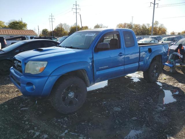 TOYOTA TACOMA 2006 5teuu42nx6z317301